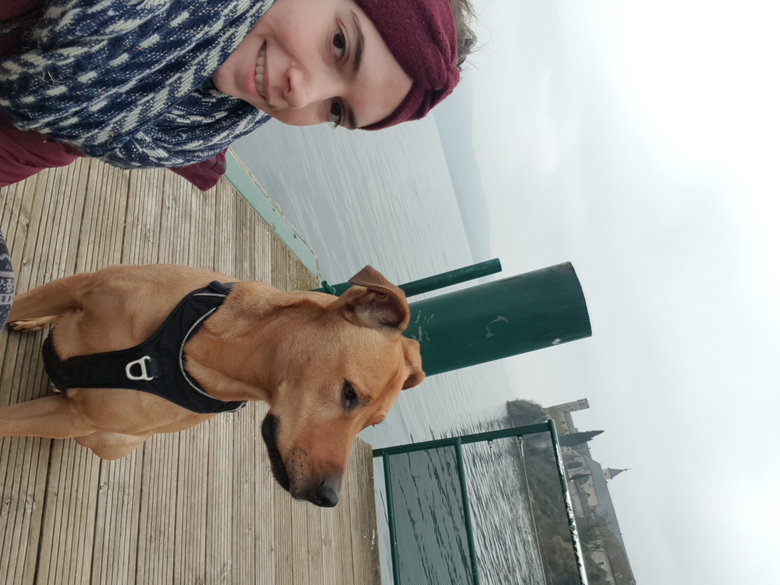 éducation et dressage de chiens Savoie